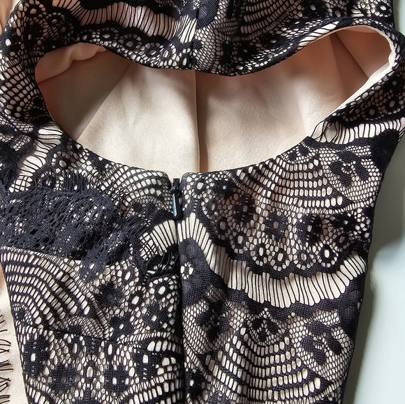 Jax Blush Pink Black Lace Cocktail Dress Size 8 - Picture 6 of 8